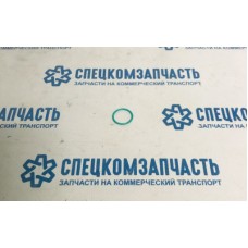 Кольцо уплотнительное топливной форсунки Hyundai/Kia 338054X500