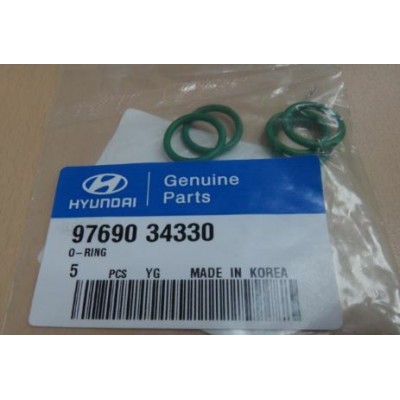 Кольцо уплотнительное HyundaiKia 9769034330