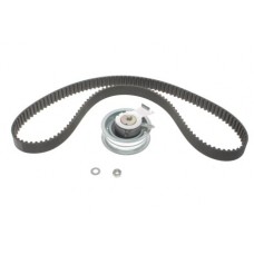 Комплект ремня ГРМ INA 530017110