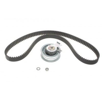 Комплект ремня ГРМ INA 530017110