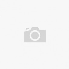 Насос водяной INA 538096710