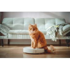 Подушка двигателя Japanparts RU3061