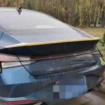 Спойлер для Hyundai Elantra Coupe Черного Цвета